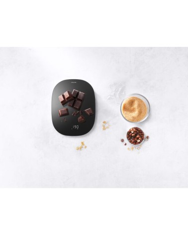 Zwilling - Bilancia Nera Enfinigy