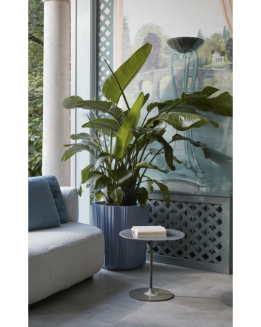 Kartell - Corteza Coprivaso