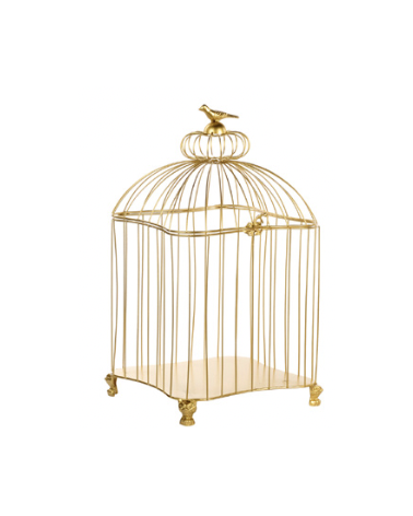 Goodwill - Gabbietta