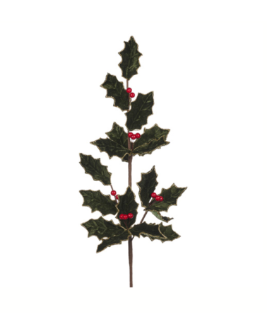 Goodwill - Stelo Bacche e Agrifoglio